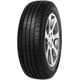 225/65 R17 102H LETO EcoSport SUV